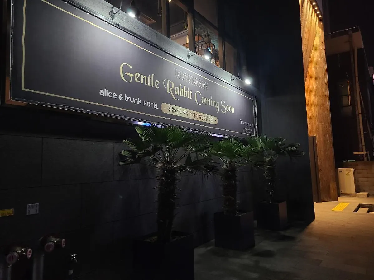 Hotel Alice And Trunk Jeju